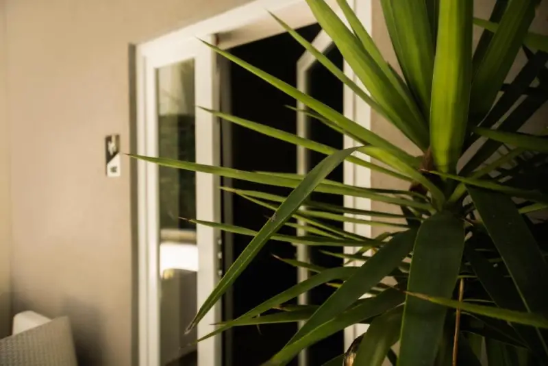 Deluxe Double or Twin Room with Garden View