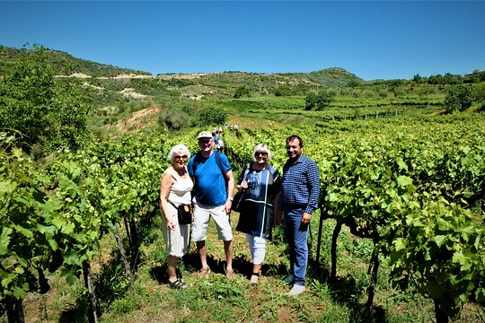 Tour image 11