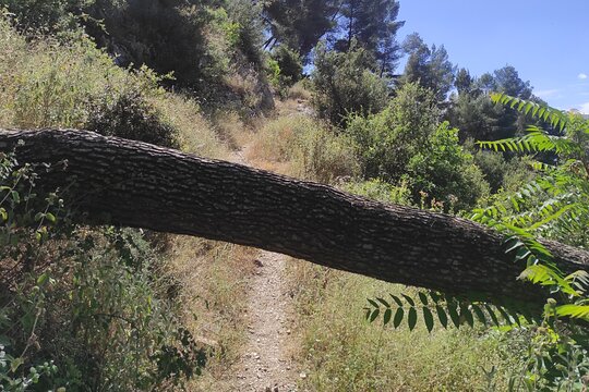 Tour image 5